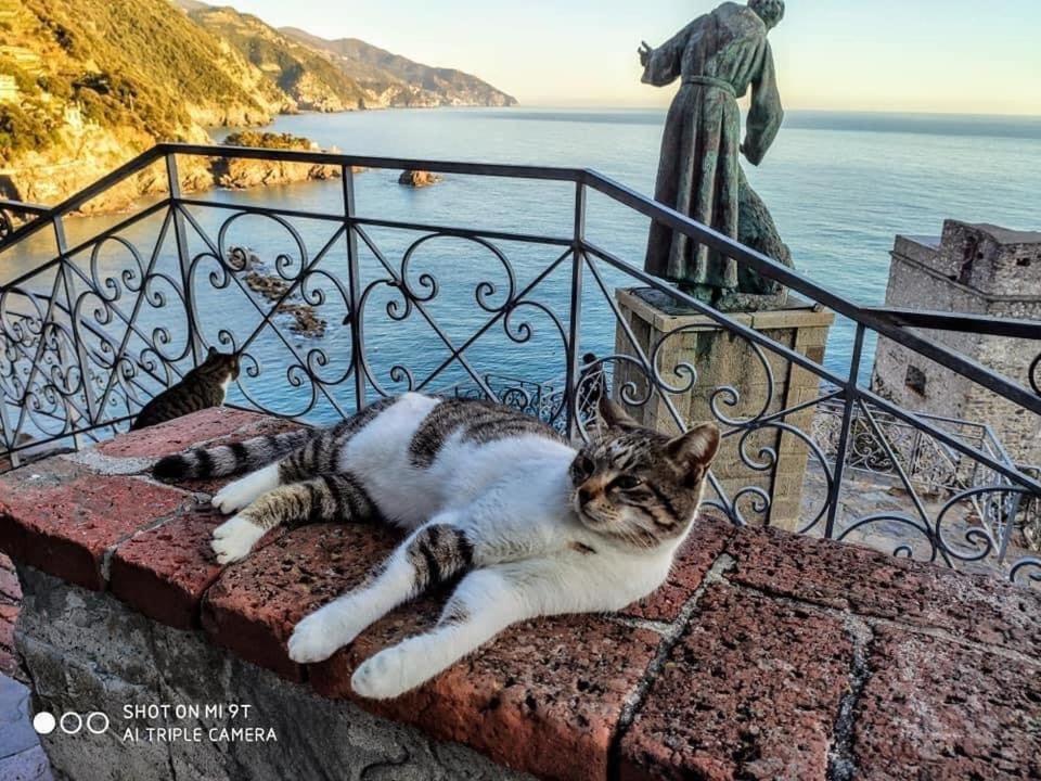 Hotel La Rosa Dei Venti Monterosso al Mare Exterior foto